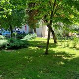 Berceni Luica Urziceni